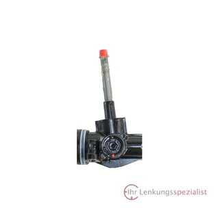 1zu1 Instandsetzung Lenkgetriebe Fiat Panda (312_, 319_), Lancia Ypsilon (312_)