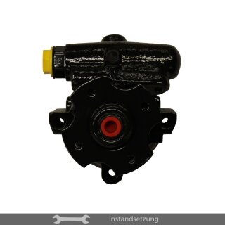 1to1 repair steering pump Renault Avantime (DE0_) 3.0 V6